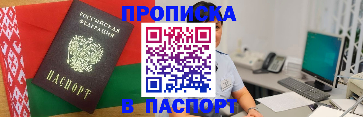 где прописаться в Коле